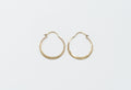 Hammered Hoops - Medium