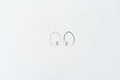 Small Pendulum Earrings